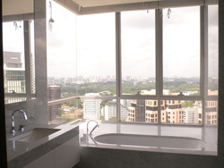 Orchard View (D9), Apartment #167377342